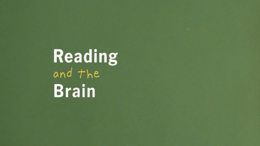 How We Learn to Read